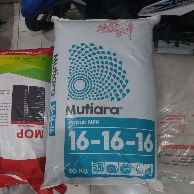 Pupuk NPK Mutiara 16-16-16 kemasan 50kg