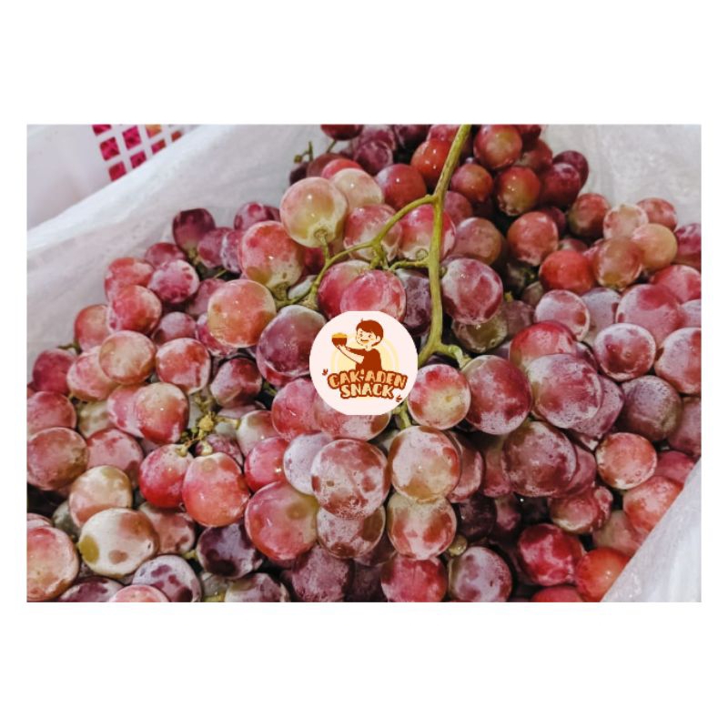 

Buah ANGGUR RED MANISPOLL 1KG