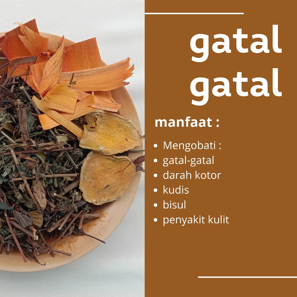 

GATAL-GATAL jamu godok rempah herbal gatal-gatal