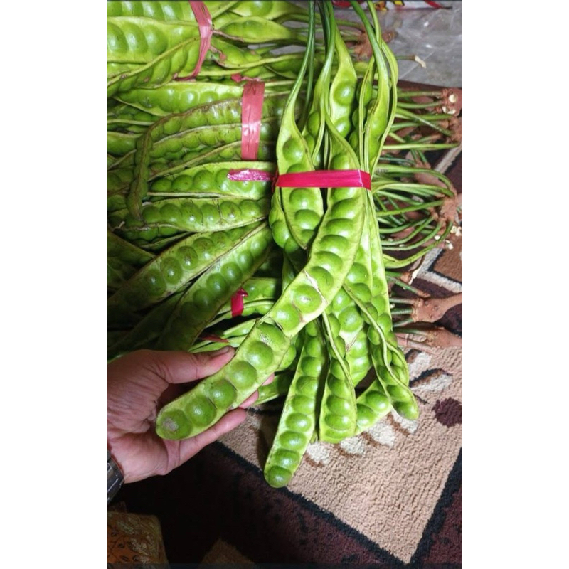 

PETE SUPER HARGA 1 ikat isi 10