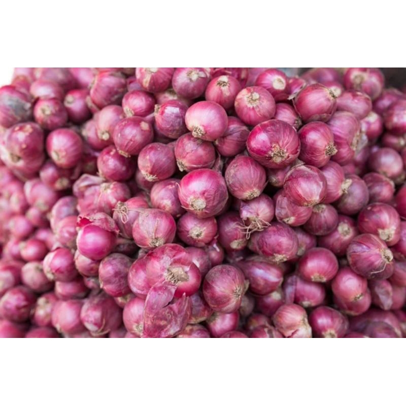 

bawang merah berebes fresh 1 kg / bawang merah besar / bawang merah asli