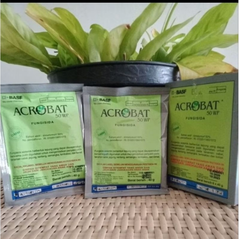 Acrobat Fungisida 50 Wp