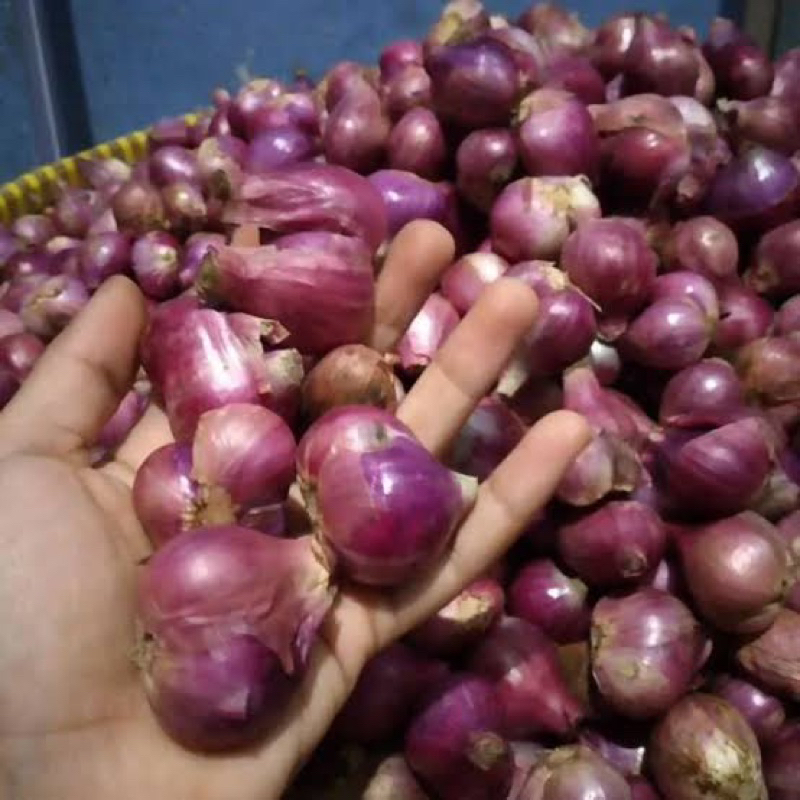 

Bawang Merah Jawa Timur