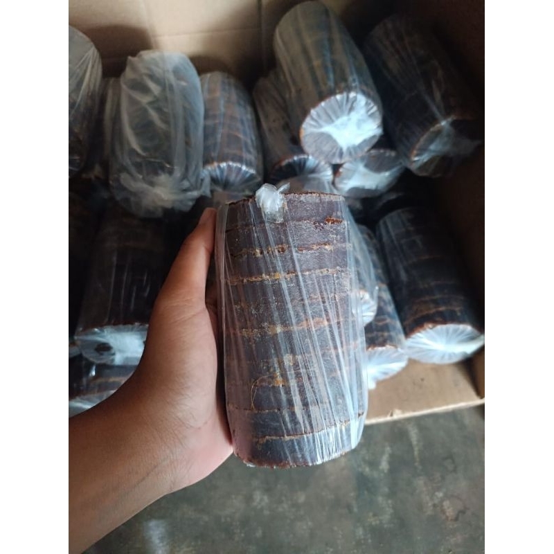 

GULA AREN