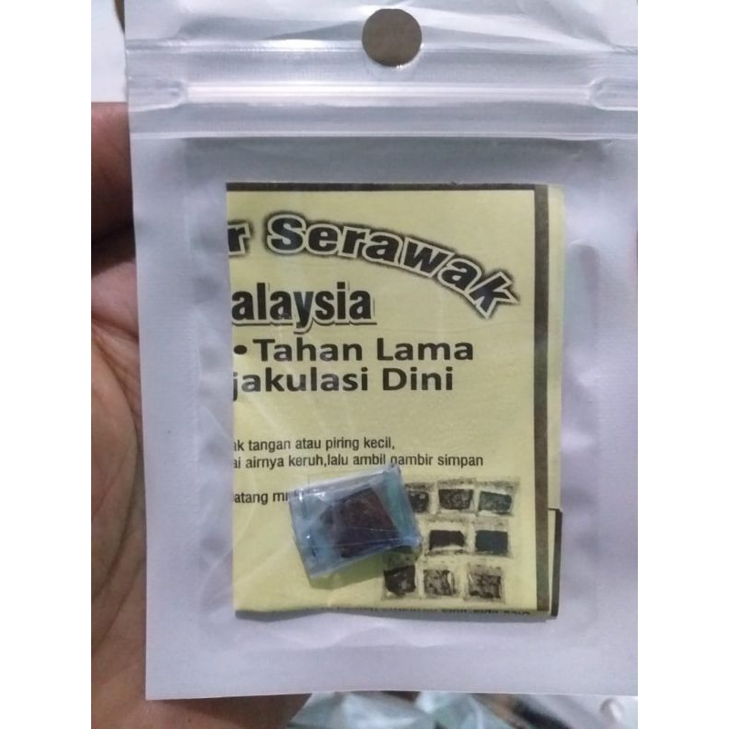 Gambir Serawak Malaysia asli