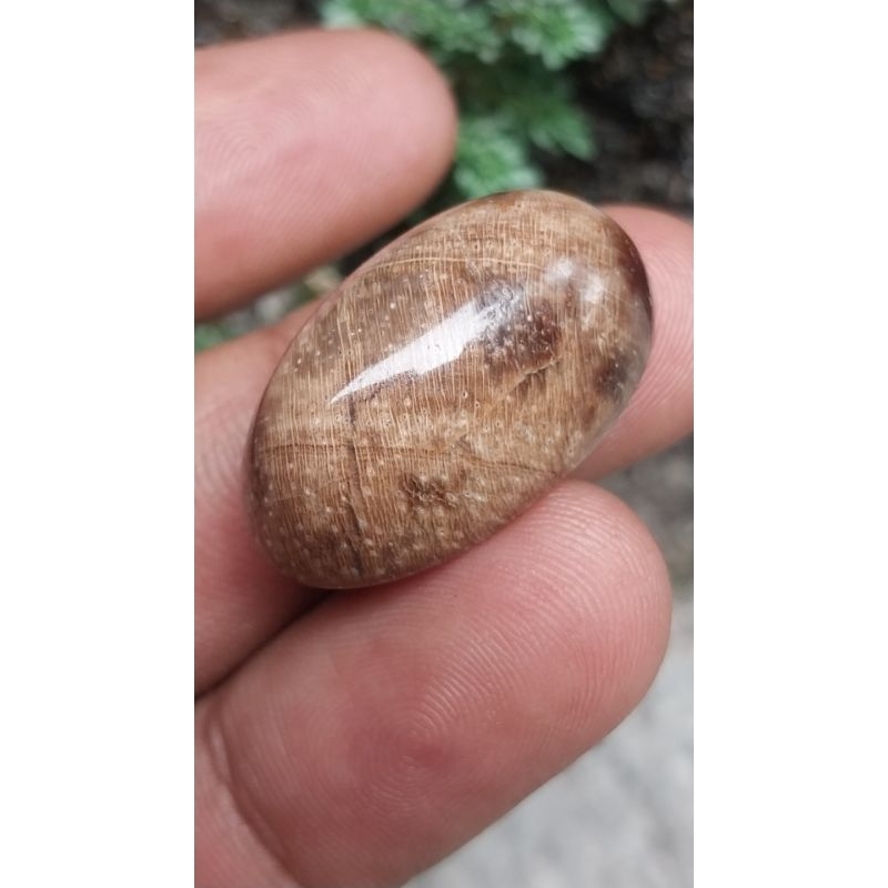 batu cincin natural fosil galih kelor
