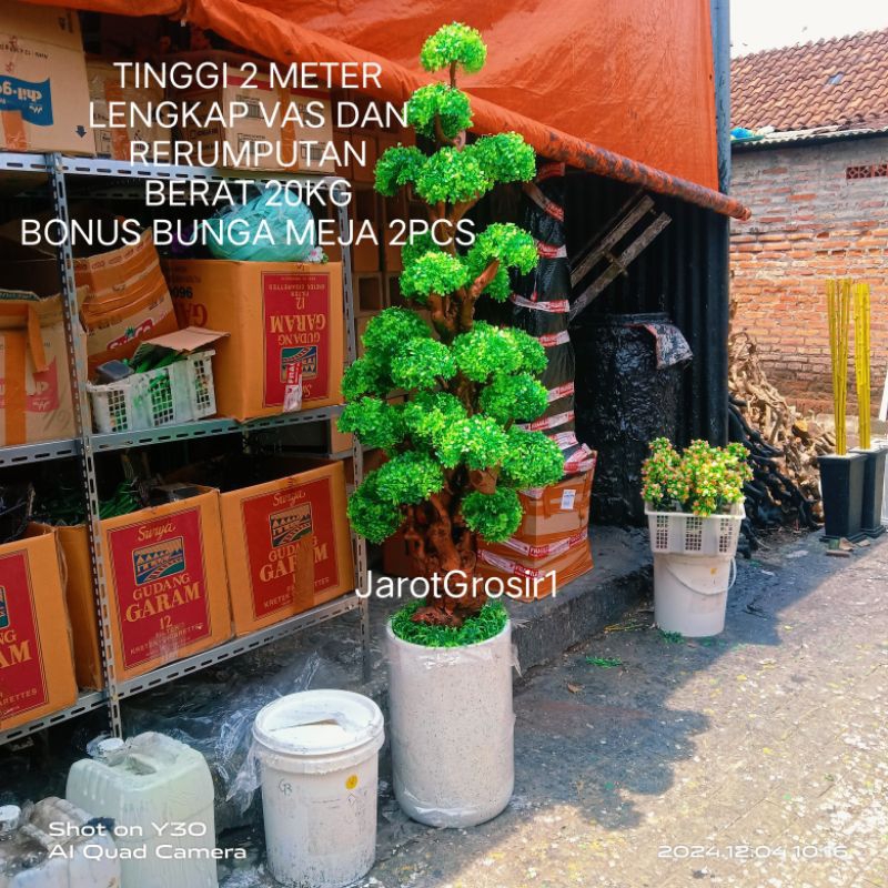 BONSAI BOLA BESAR MEWAH ARTIFICIAL LENGKAP POT TRASO DAN RERUMPUTAN // BONSAI DOLAR BONSAI BRINGIN B
