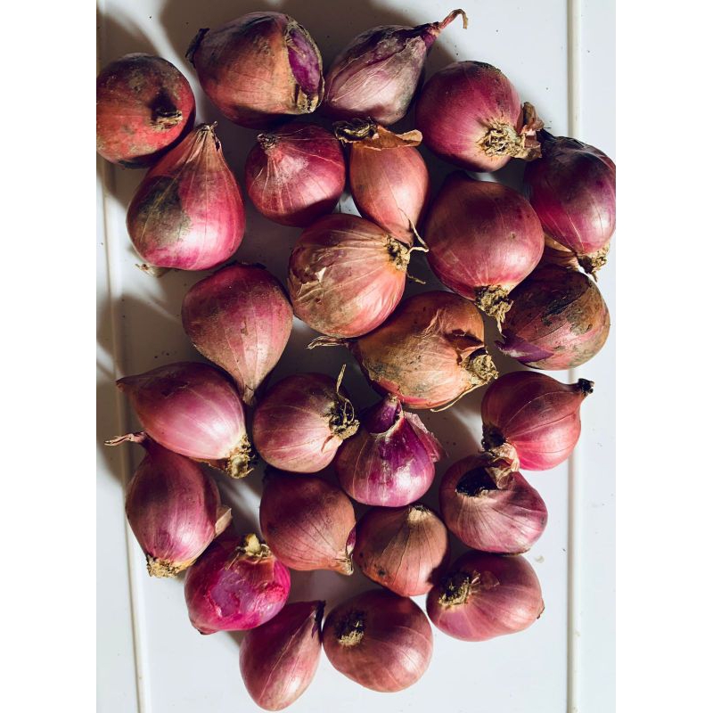

bawang merah besar murah 500g