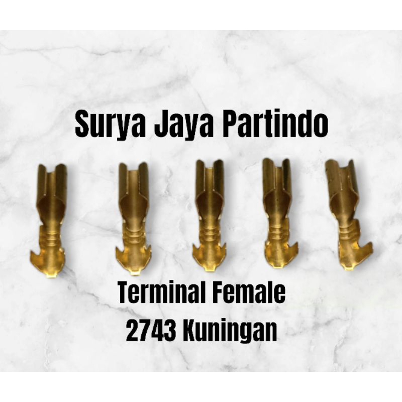 Terminal Bulat Cewe / Skun Bulat Cewe / Skun Bulat Female 4 mm Type 2743 Automotif