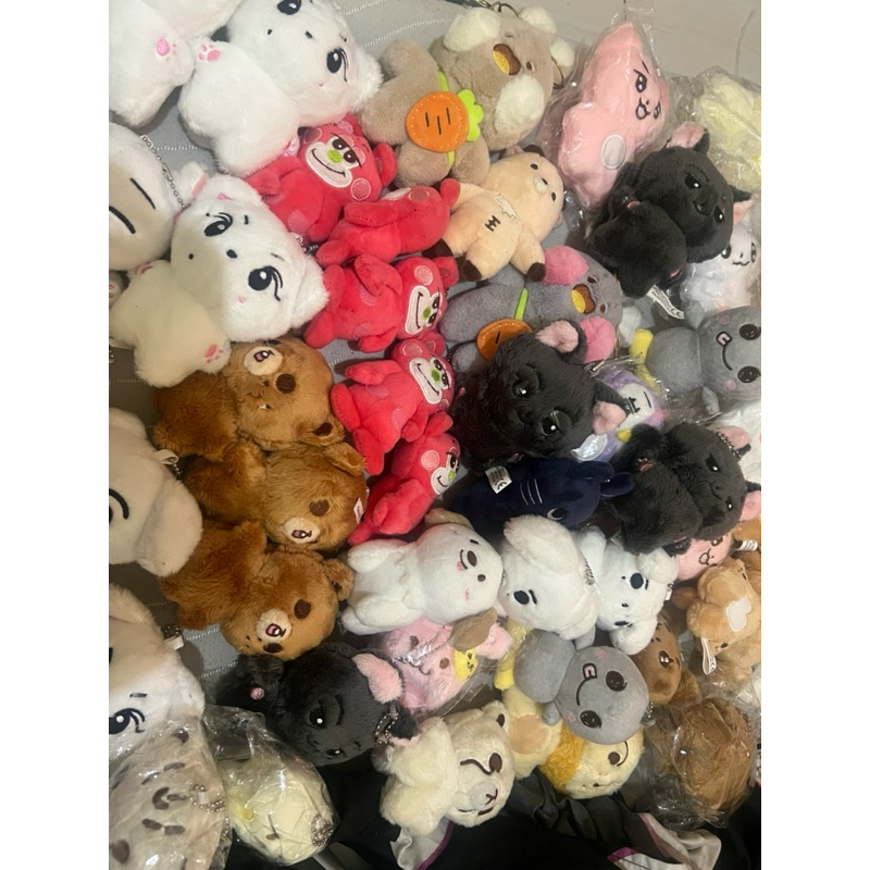 READY STOCK DOLL CHINA ENHYPEN JUNGWON JAKE JAY SUNGHOON NCT MARK HAECHAN GOMDO LEE CHEETAH LEE TXT 