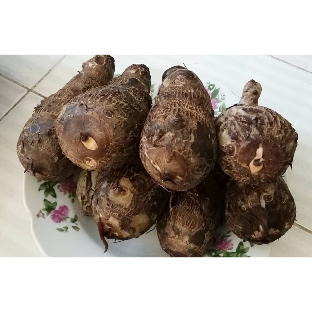 

Talas ubi / Mbothe Fresh Pulen (mentah)