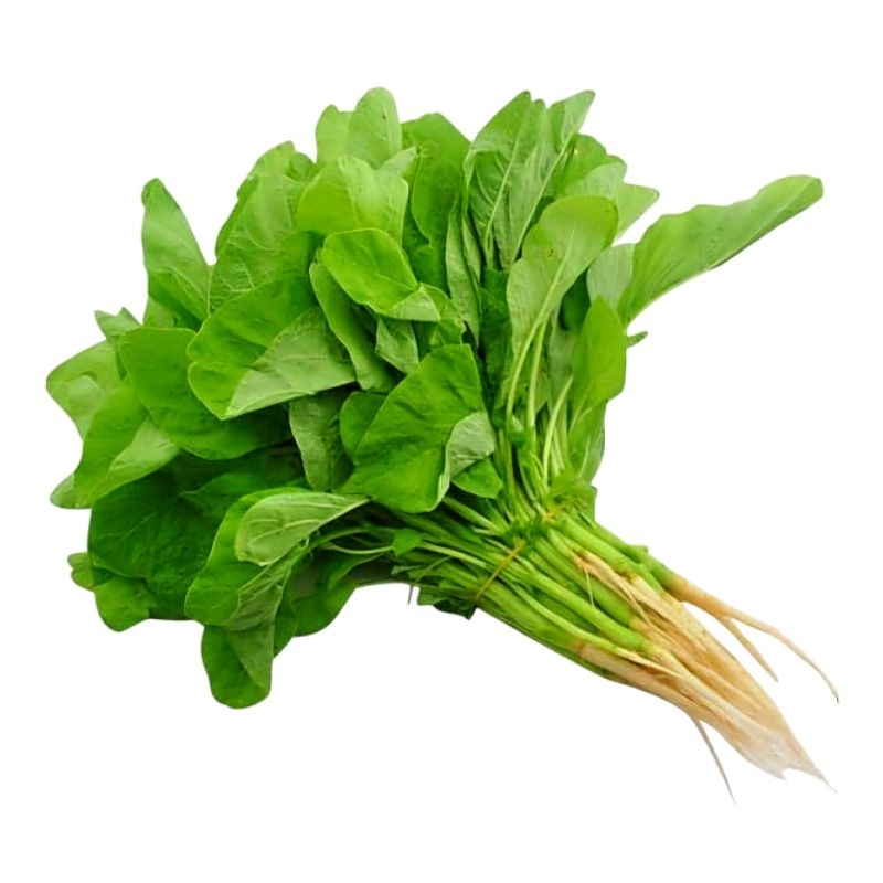 

Sayur Bayam segar 1 ikat - Surabaya
