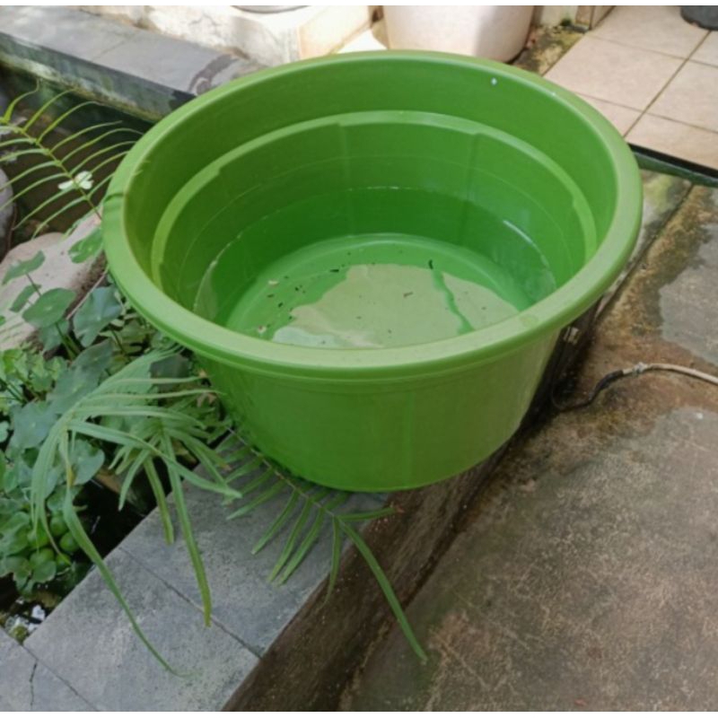bak plastik ukuran 45 besar free gayung cantik/bak air besar/bak jumbo free gayung cantik