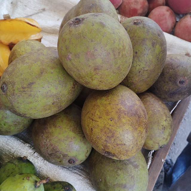 

Mangga bacang macang machang Limus Horse Manggo