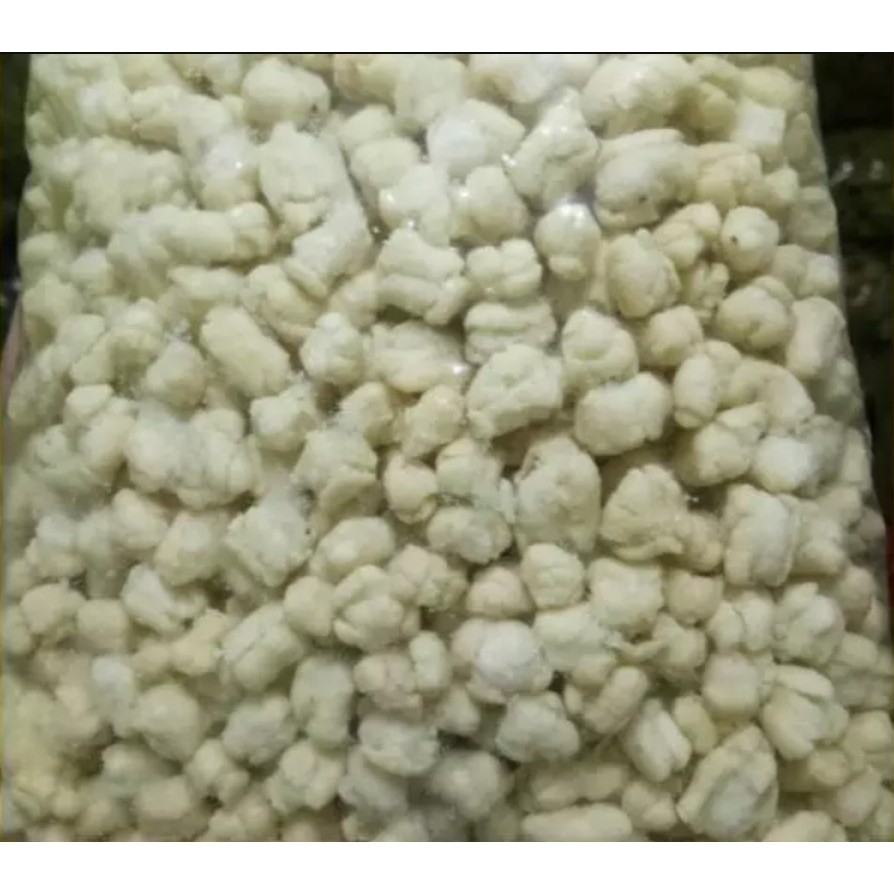 

Pilus cikur / pilus kencur Jang Raka 500 Gram enak, gurih dan renyah