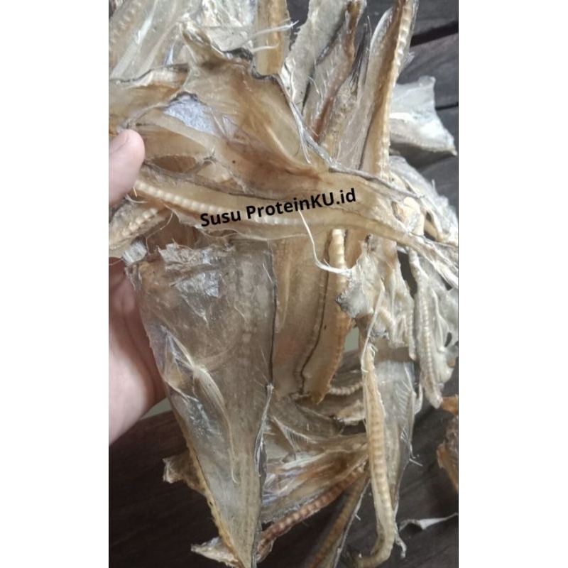 

IKAN ASIN TIPIS TERMURAH, KUALITAS IMPORT (PREMIUM) KHAS TARAKAN, KALIMANTAN UTARA