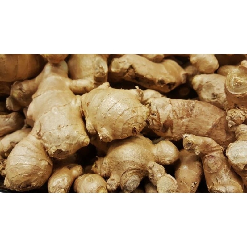 

JAHE EMPRIT TUA SUPER MURAH 100 gram