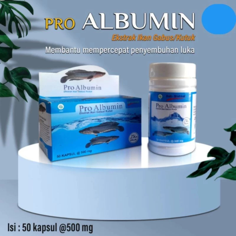 Pro Albumin Ekstrak IKAN GABUS Pro ALBUMIN ORIGINAL
