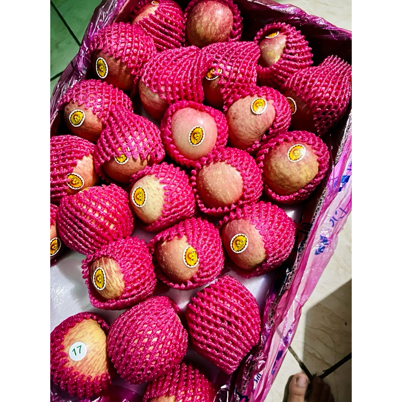 

APPEL FUJI DUS ISI 138