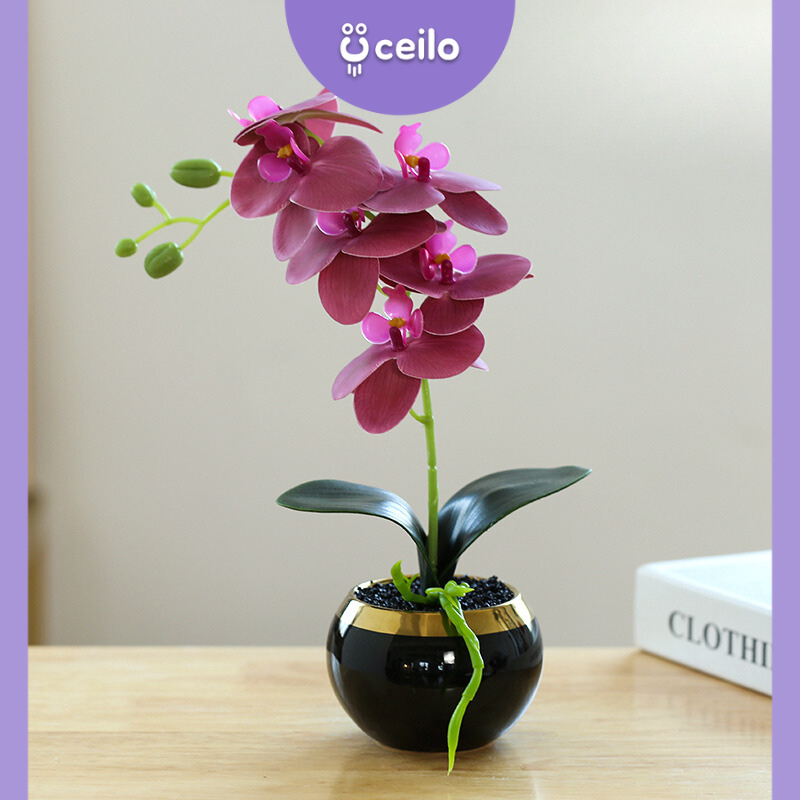 CEILO Bunga Anggrek Hias | Bunga Meja | Anggrek Artificial Latex | Bunga Latex Pot Keramik | Bunga P