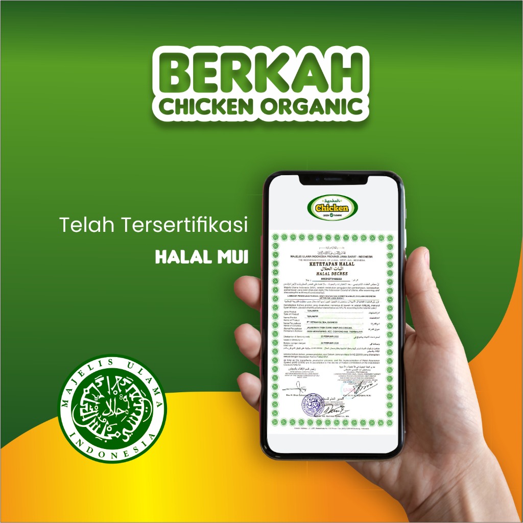 

AYAM ORGANIK HALAL