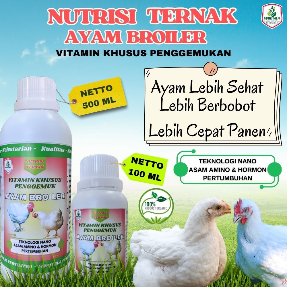 Penggemuk Ayam Broiler Vitamin Penambah Nafsu Makan Obat Ayam Broiler Suplemen Broiler Cepat Besar