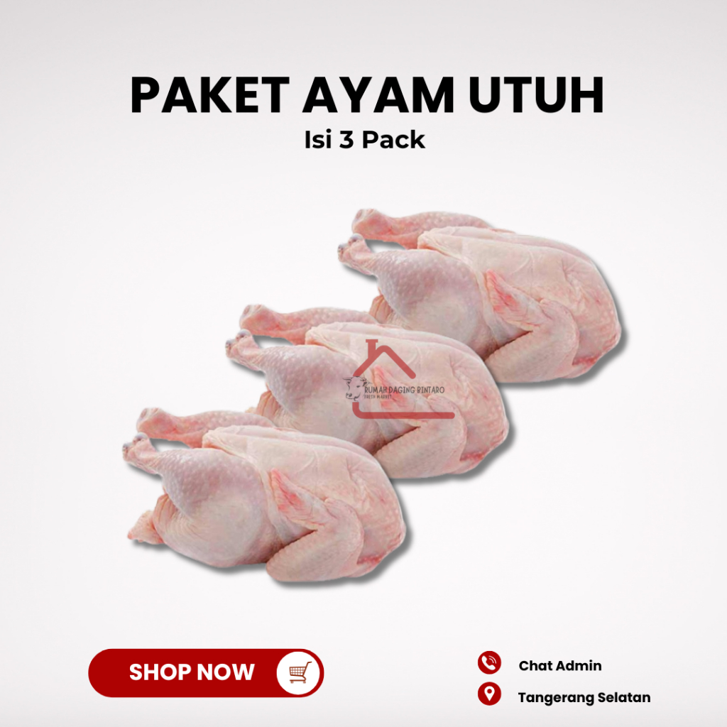 

Promo Bundling Hemat Ayam Karkas Broiler Utuh Fresh Halal 1100gr / 1,1kg - Isi 3 pack