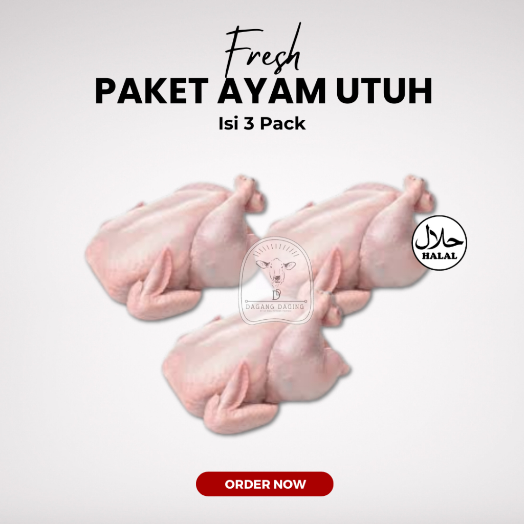 

Promo Bundling Hemat Ayam Karkas Broiler Utuh Fresh Halal 1100gr / 1,1kg - Isi 3 pack