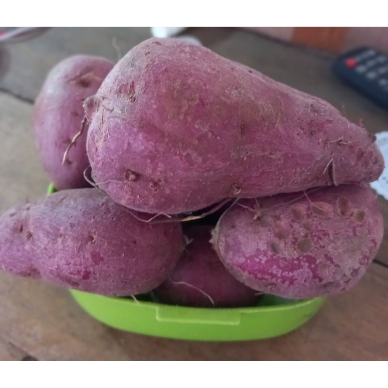 

Termurah 500gr umbi ungu