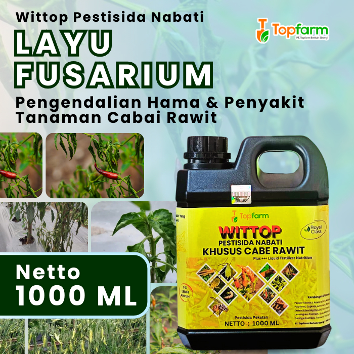 Pestisida Topfarm / Obat Buah Cabe Rawit Busuk Kering / Obat Cabe Rawit Umur 1 Bulan / Obat Busuk Bu