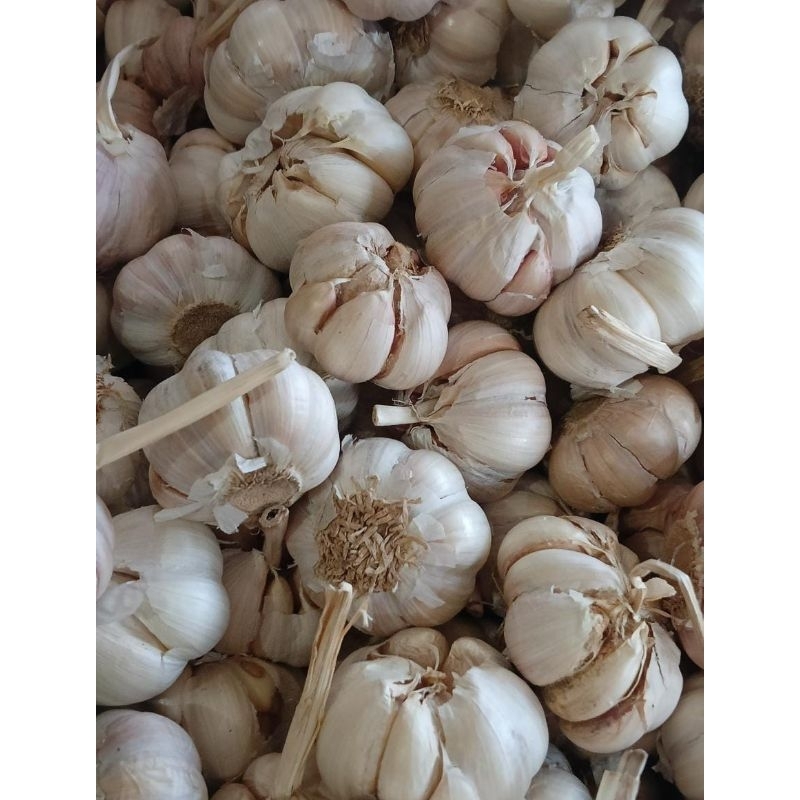 

BAWANG PUTIH 1 KG ASLI FRESH