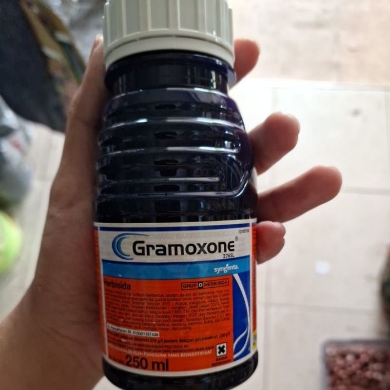 OBAT MATI DAUN GRAMOXONE 250ML 1 HARI LANGSUNG KERING PEMBASMI GULMA DAN RUMPUT LIAR