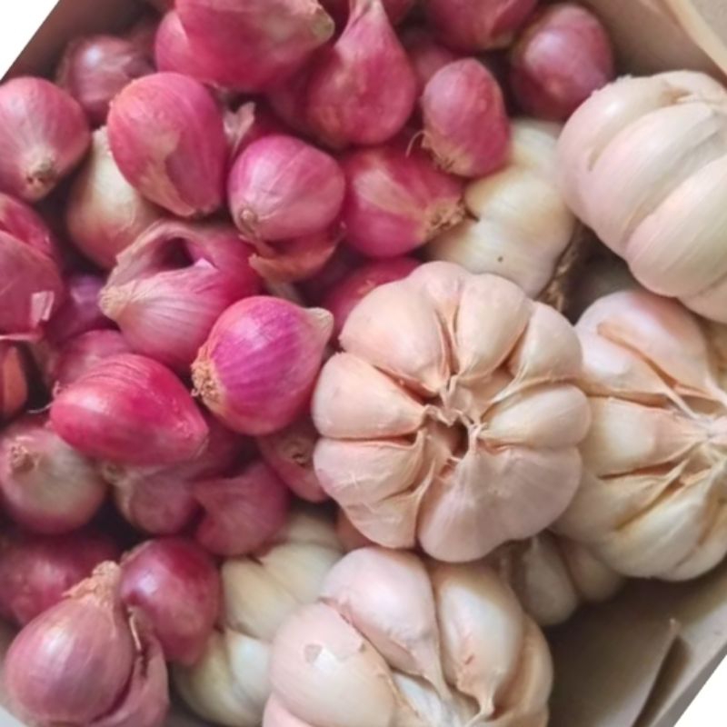 

bawang merah campur bawang putih biasa 250gr