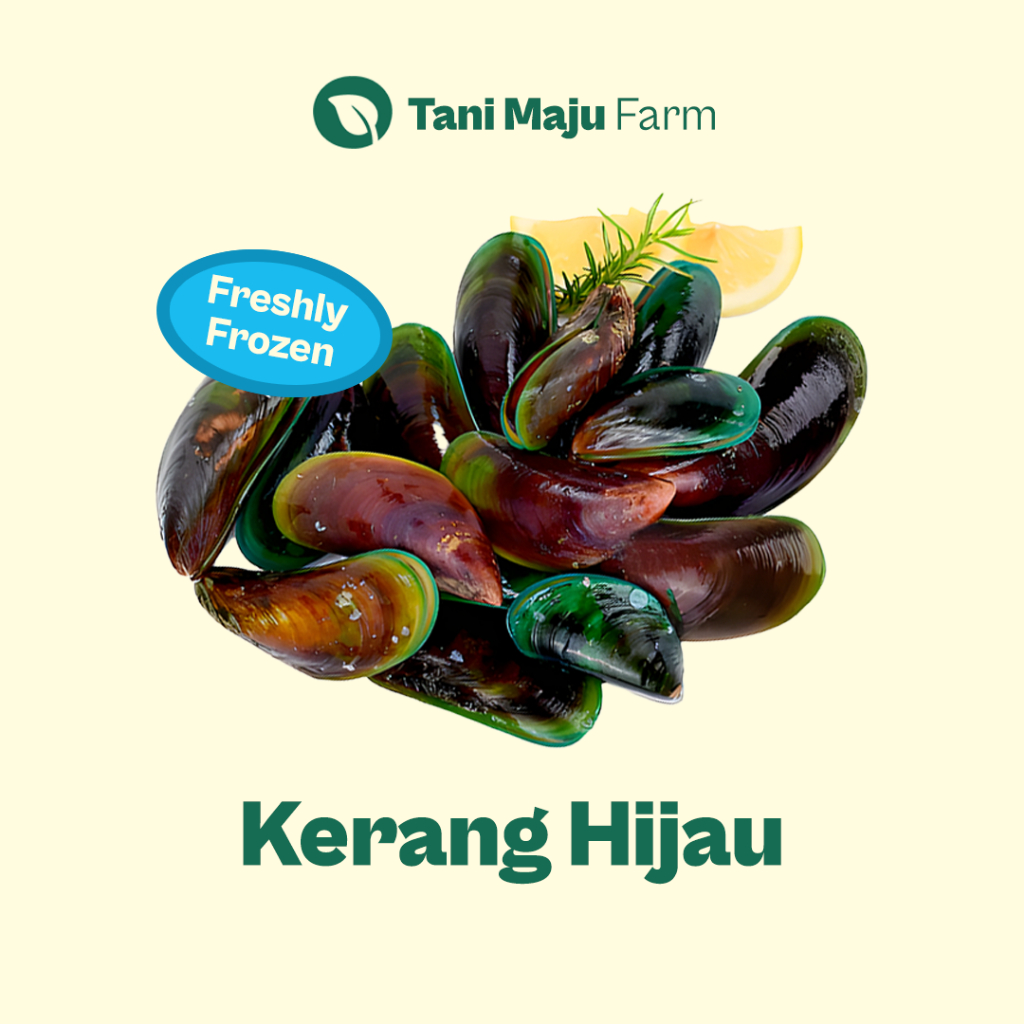 

Kerang Hijau Ijo Fresh (500 gram) - Seafood