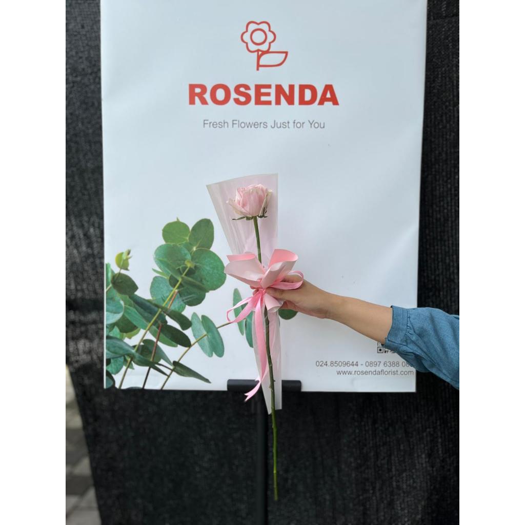 FRESH ROSE BOUQUET 1 STEM - BUKET BUNGA MAWAR SEGAR / BUCKET BUNGA SEGAR / BUKET BUNGA ASLI / BOUQUE