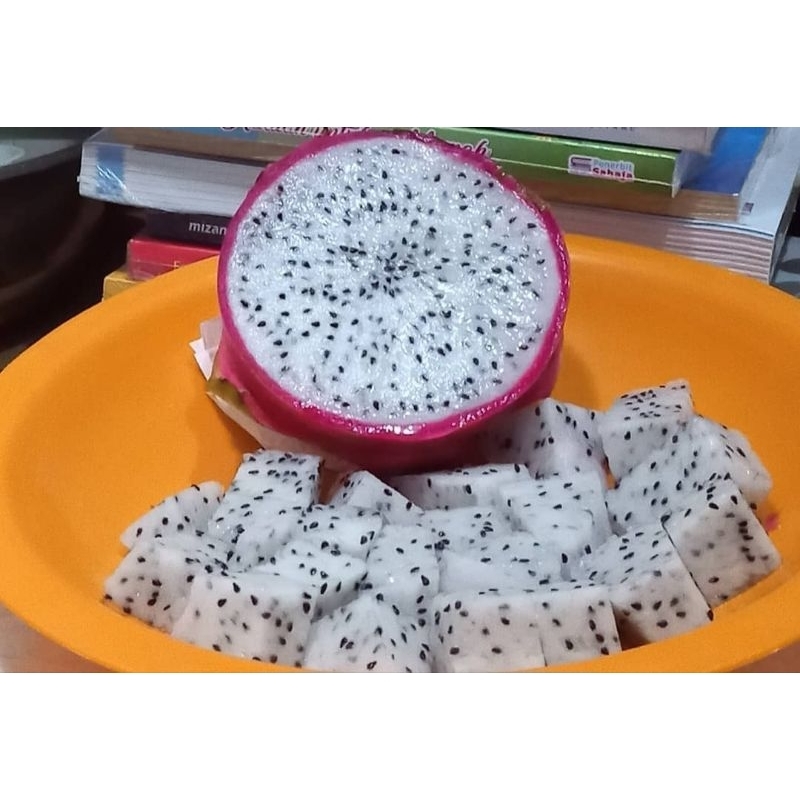 

Naga putih Murah