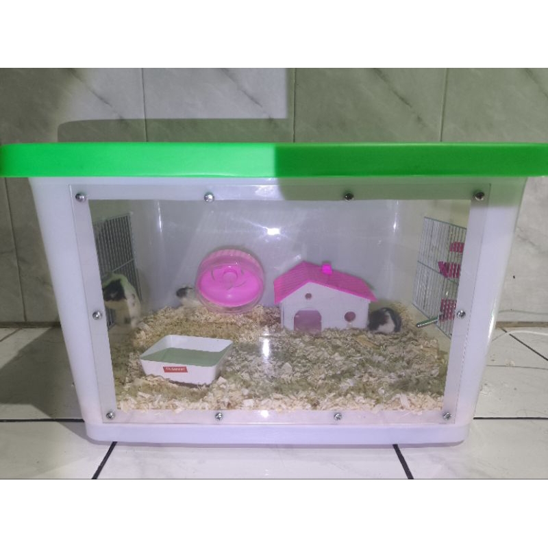 Box container 50 L modif hamster gecko dan reptil