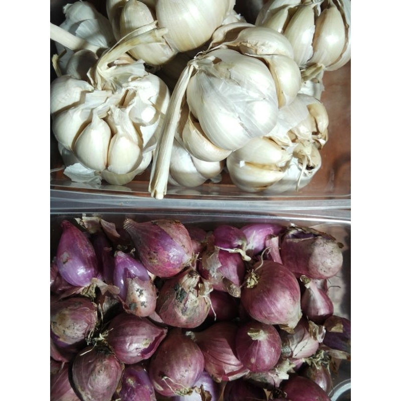 

BRAMBANG NGANJUK 500 GR +BAWANG SINCO 500 GR