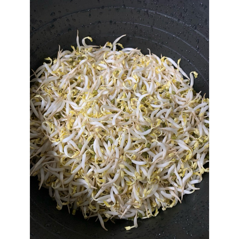 

Tauge Toge Premium - 1/4, 1/2, 1kg - Bisa INSTANT / SAME DAY