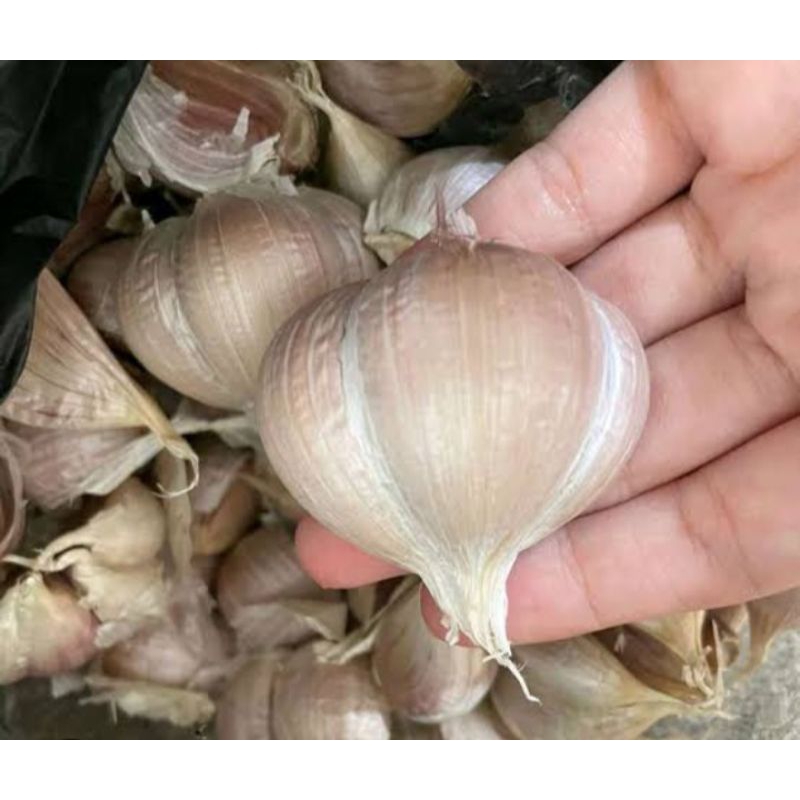 

KIRIM INSTANT BAWANG PUTIH KATING 100g