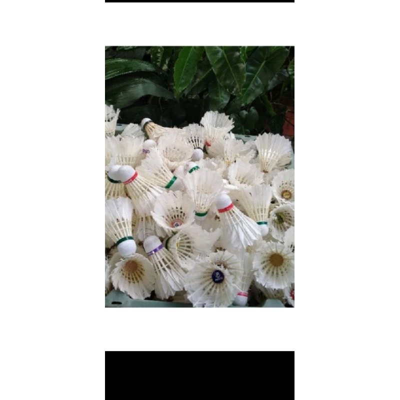 shuttlecock bekas kondisi 80%-90% mulus