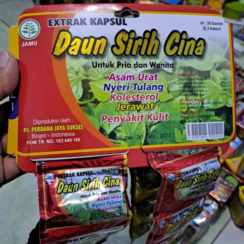 Daun Sirih Cina Kapsul pegalinu asam urat