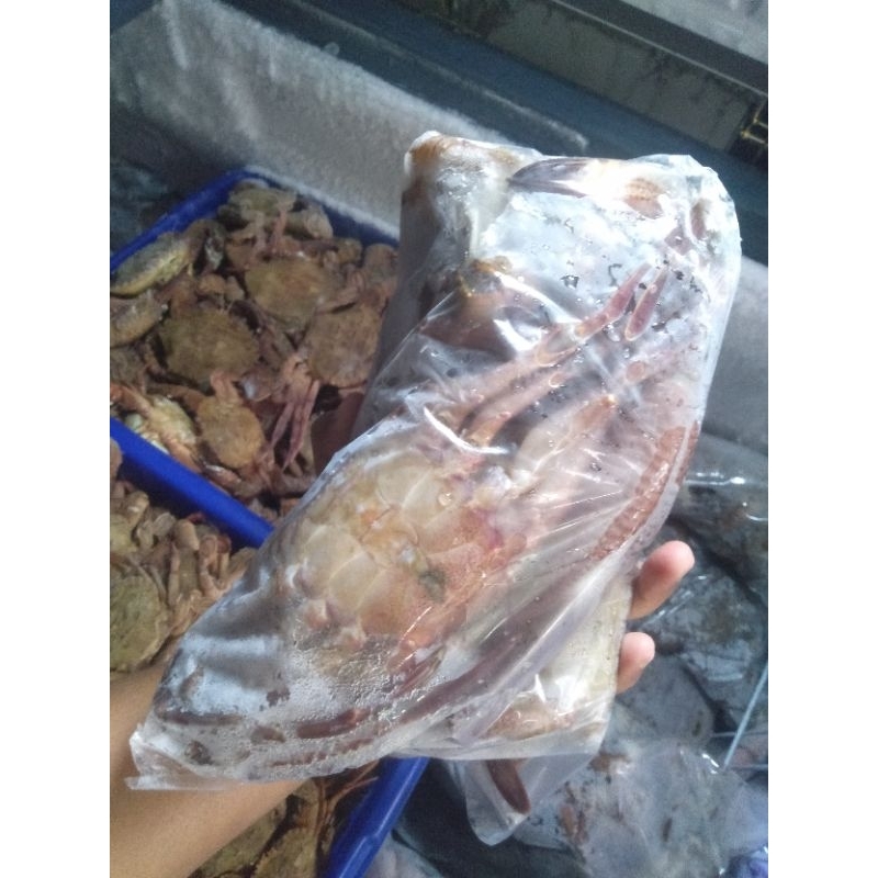 

Kepiting Ringan/ Kepiting Laut/ Kepiting Beku/ Gemarikan/ Perikanan