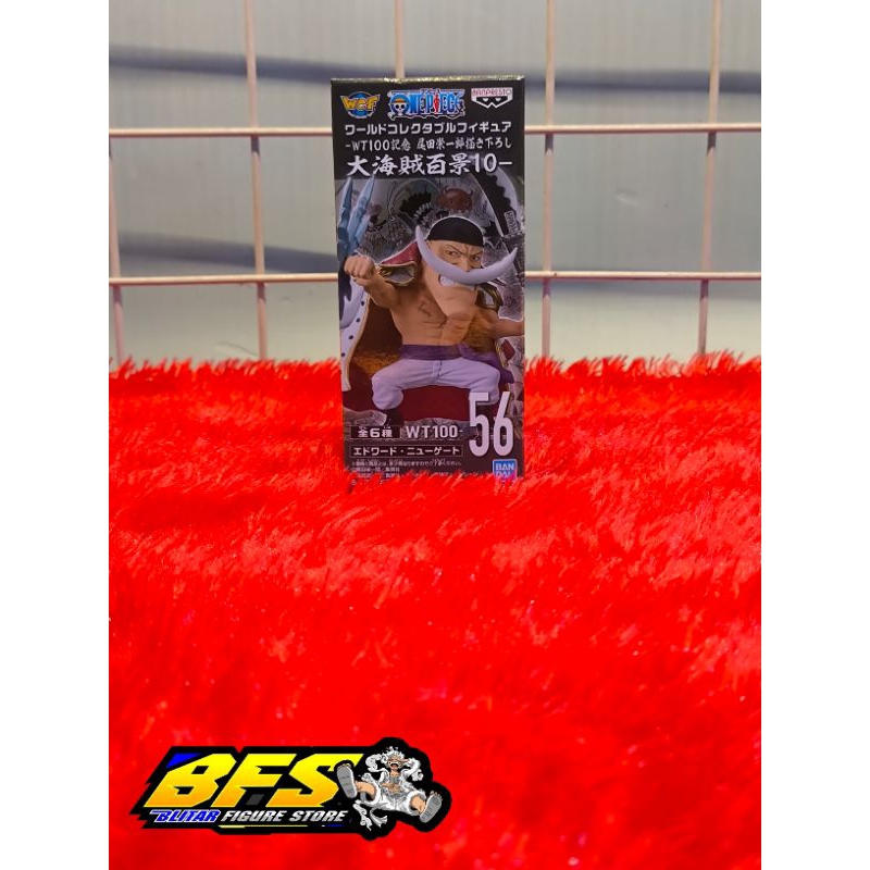 WCF ONE PIECE WT100 SHIROHIGE JAPVER