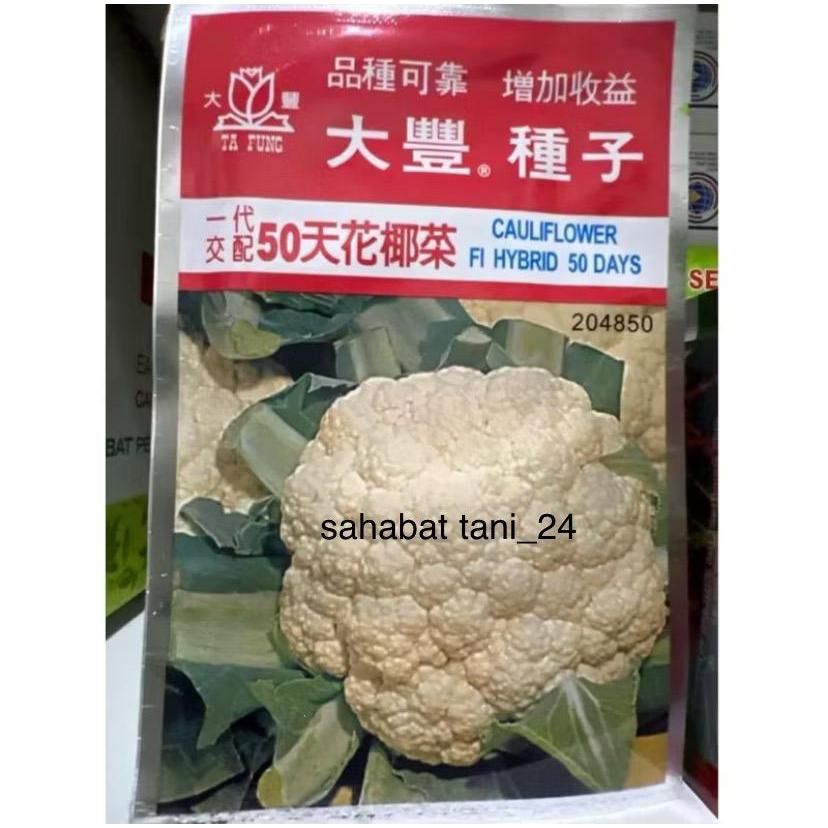 

Bungkul tafung bunga kol cauliflower tafung 10gram bunga kol hibrida 50hari panen dari ta fung cocok dataran rendah sampai menengah