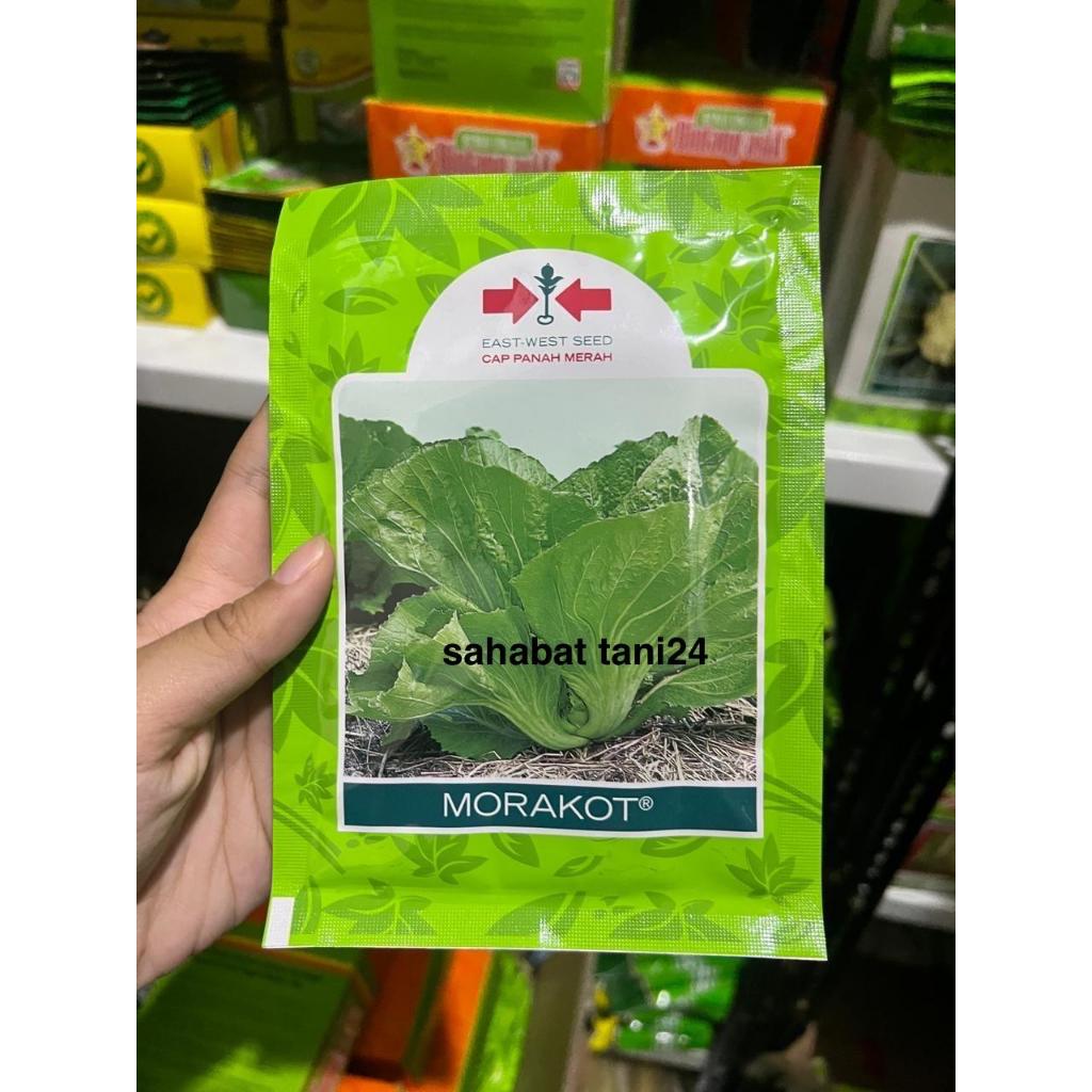 Benih sawi MORAKOT 20 gram sawi pahit marokot dari panah merah