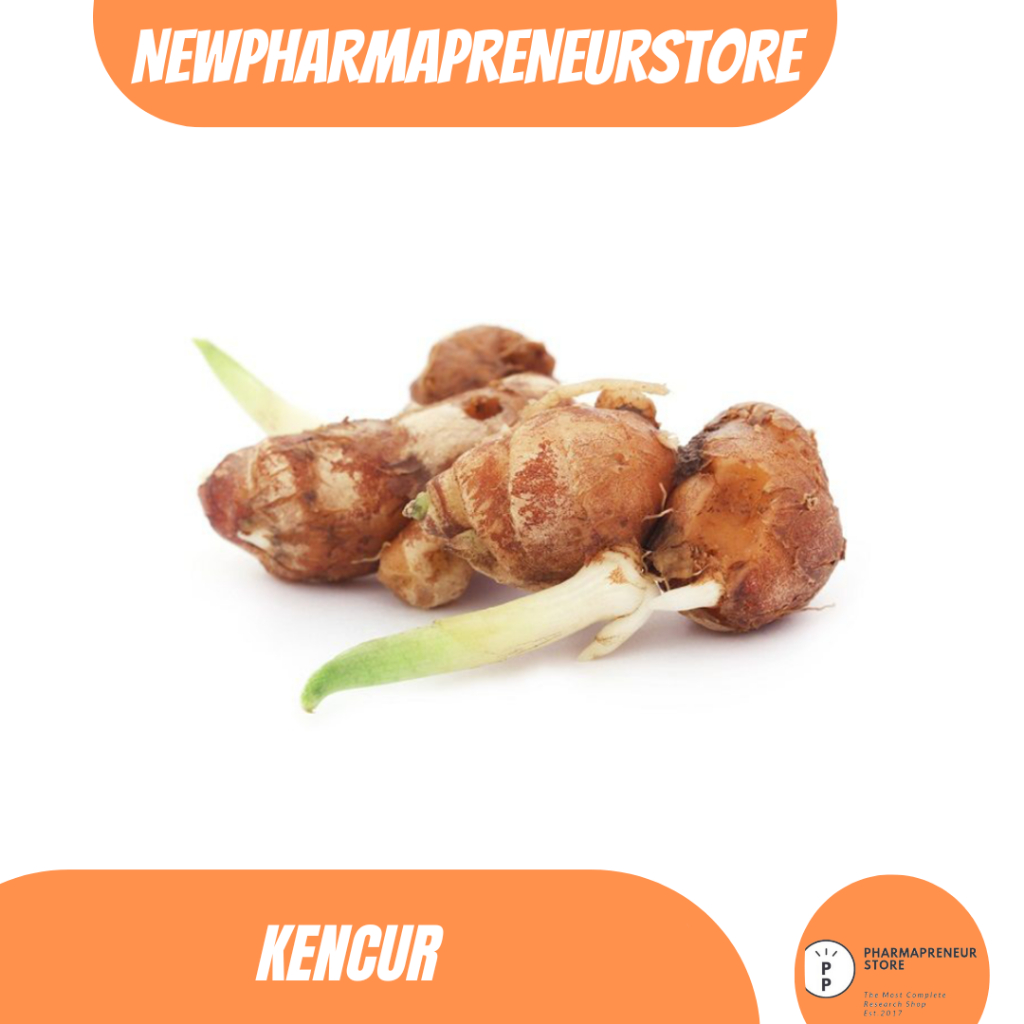 

DRIED SERBUK KENCUR BEST QUALITY
