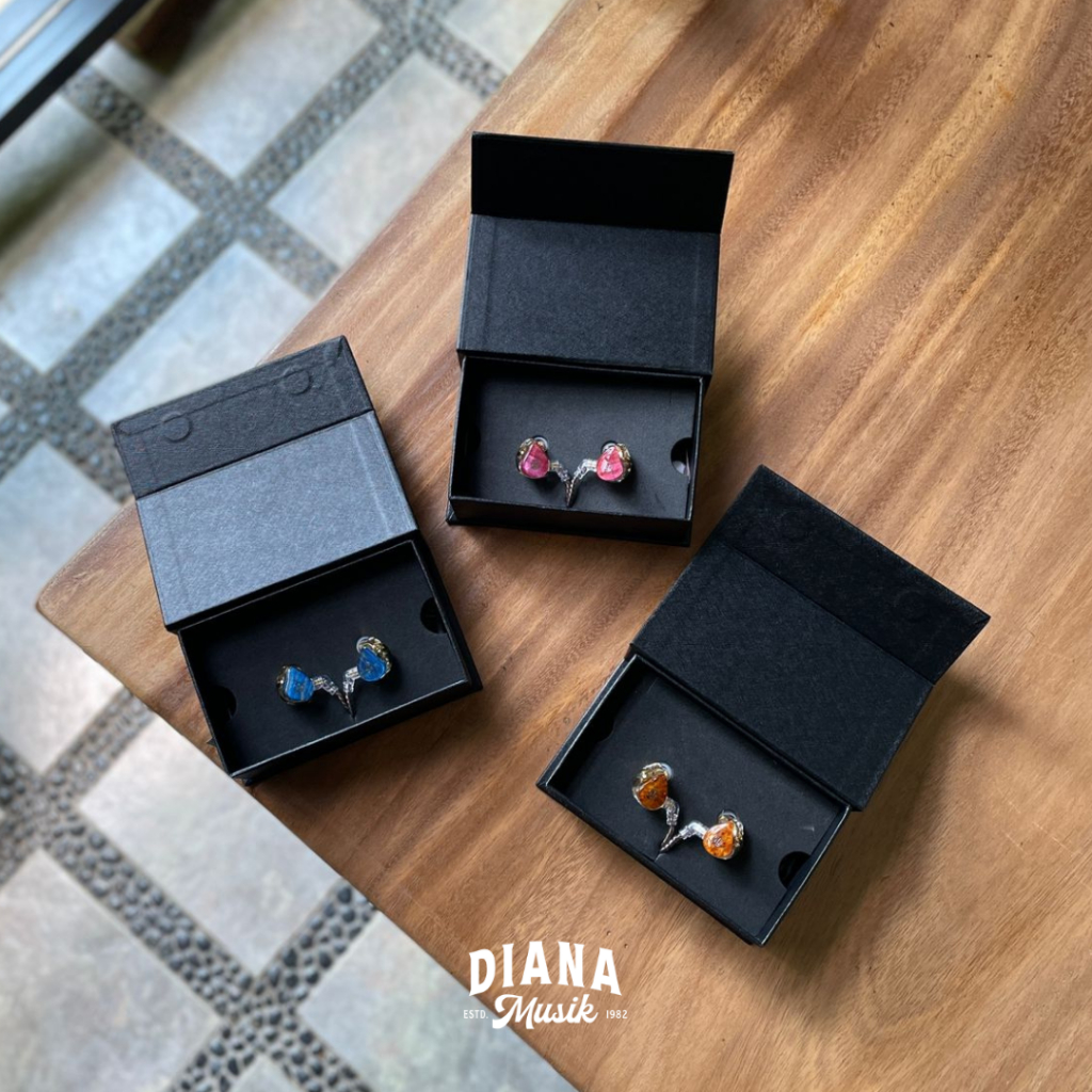 In Ear Monitor Pi Audio 3.14 DR2 Pro Series