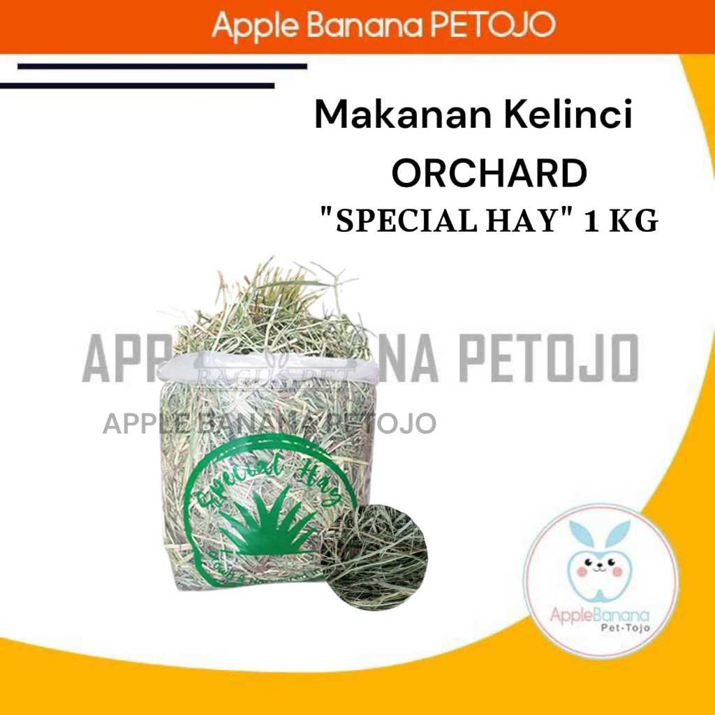 SPECIAL HAY ORCHARD | Rumput Hay Makanan Timothy Hay - Rumput/Jerami kering Orchard Hay