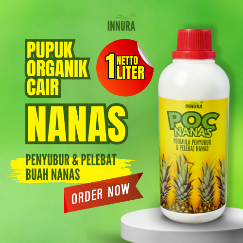 Pupuk Cair Pelebat Buah Nanas Perangsang Tunas Penumbuh Akar Penyubur Tanaman Nanas Pemanis Buah ZPT